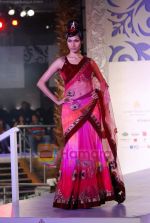 Model walks the ramp for Sonia Mehra at Aamby Valley India Bridal Week day 5 on 2nd Nov 2010 (24).JPG